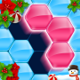 Block! Hexa Puzzle™ icon