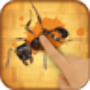 Insects Smasher : Tap & Smash