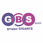 GBS Autolinee icon
