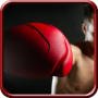 Boxing Games