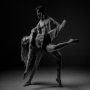 danse de chat icon