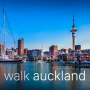 Aucklandı gez icon