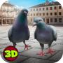 City Bird Pigeon Simulator 3D