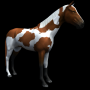 Jeu de chevaux icon
