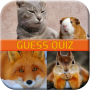 Jeu de quiz des animaux icon