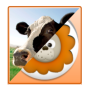 Animal de memoria para niños icon