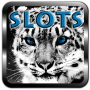 Tiger Slots – Golden Jackpot