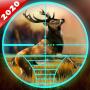 Deer hunting 2020: Animal Hunter 3D