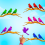 Bird Sort : Color Puzzle Games