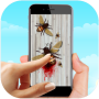 Bee Smasher Game