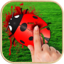 Bug Smasher Game