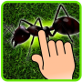 Ant Smasher - Kids Games