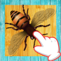 Bug Smasher Free