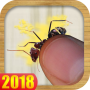 Ant Smasher – Tap Smash Ants & Bugs