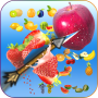 Real Archery Fruit shooter Simulator