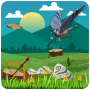 Archery Birds : Forest Adventure