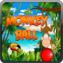 Bal des singes icon
