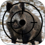 Wild Boar Calls