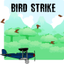 Bird Strike