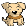 Aprenda animais icon