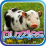 Wallpaper Puzzle : Animals