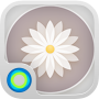 Thème de style rétro Hola icon