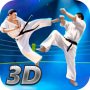 Karate Fighting Tiger 3D - 2