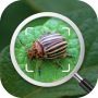Identificação de insetos: Identificador de insetos - Localizador de insetos icon