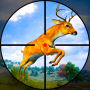 Jungle Animal Hunting Free Game 2021: Hunting Game