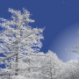 Montanha do inverno icon