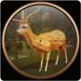 Deer Hunting Sniper Shooter 3D