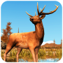 Deer hunting 3D: Sniper pro