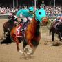 Horse Racing 3D Free My Virtual Horse