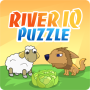 River IQ Puzzle