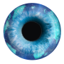 Geotreker espionnant sur le téléphone icon