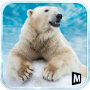 Angry Polar Bear Simulator 3D