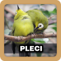 Pleci Escolhas icon