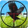 Crow Hunting Game 3D 2016