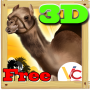 Camel race 3D