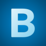 BigBank Vogels icon