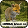 Hidden Scenes - Cute Critters