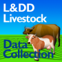Colección de datos L DD icon