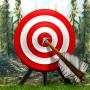 Target - Juegos de tiro con arco icon