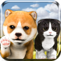 Pet Cat & Dog Simulator 3D