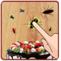 Fly Beetle Smasher, free game