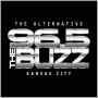 96.5 El zumbido icon