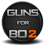 Guns for BO2