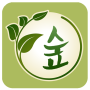 Preescolar del bosque de Sungkyunkwan icon