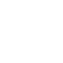 Invaders de lespace personnel icon