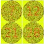 Color Blindness Test App